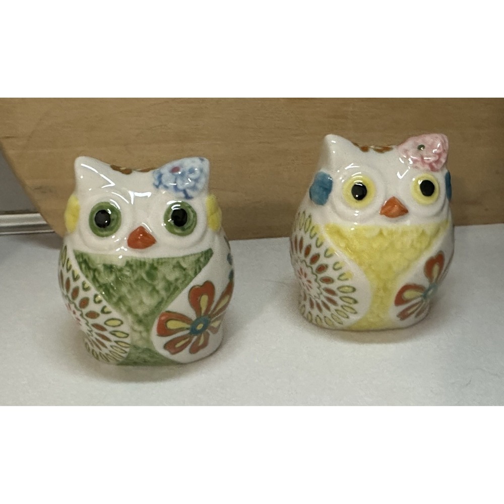 Pier 1 Ceramic 3.5" Owl And Flowers Salt And Pepper Shakers